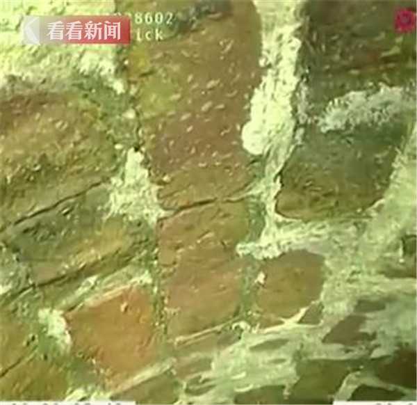 波多波多野结衣超你啦视频