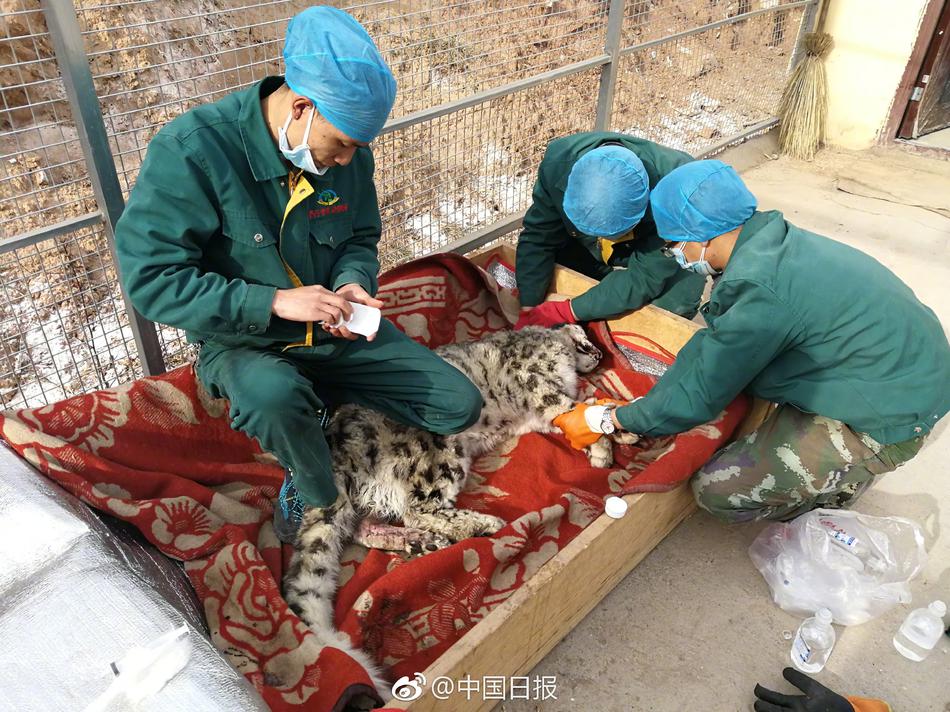 调教精牛肉屌体育生