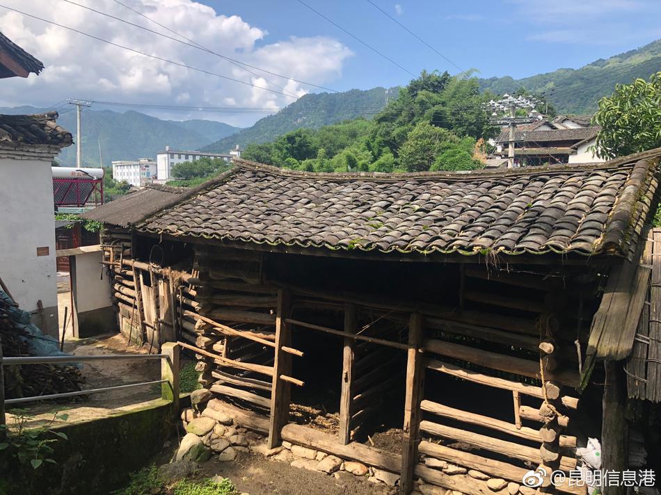 免费在线看黄