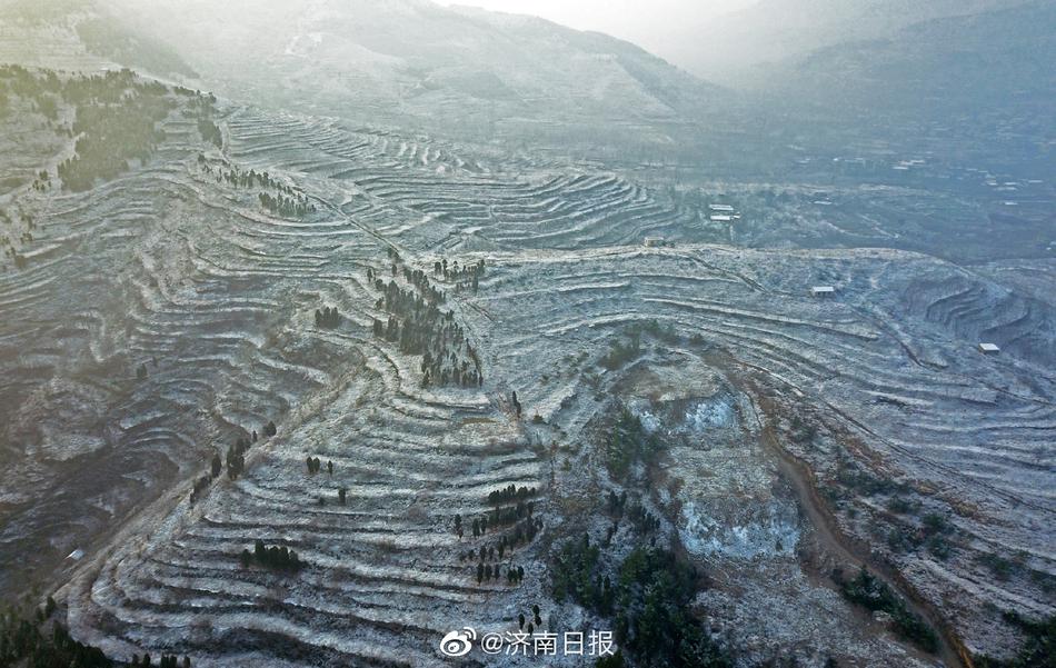 雪莉露點