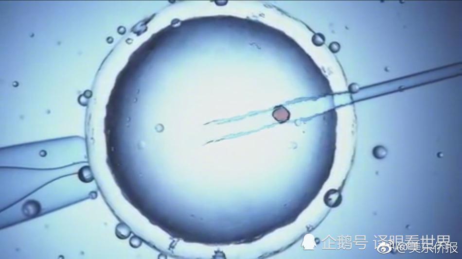 特大黑人巨交吊性Xxxxhd