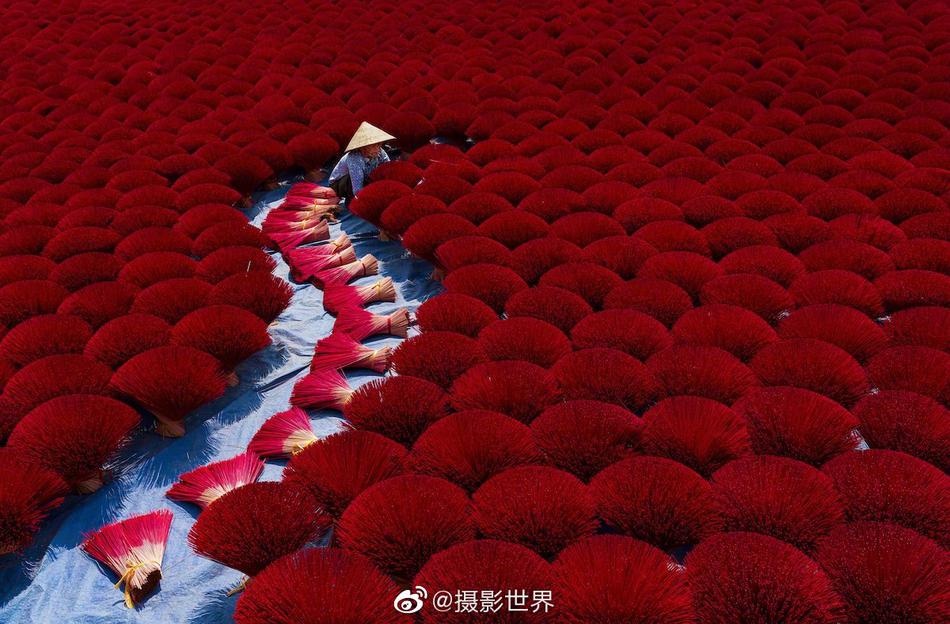 张柏芝全套无删