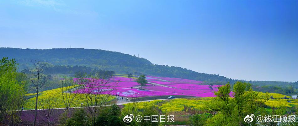 免费黄色