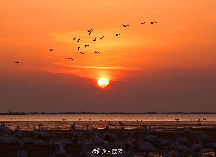 巨茎体育生XXXGAY2022