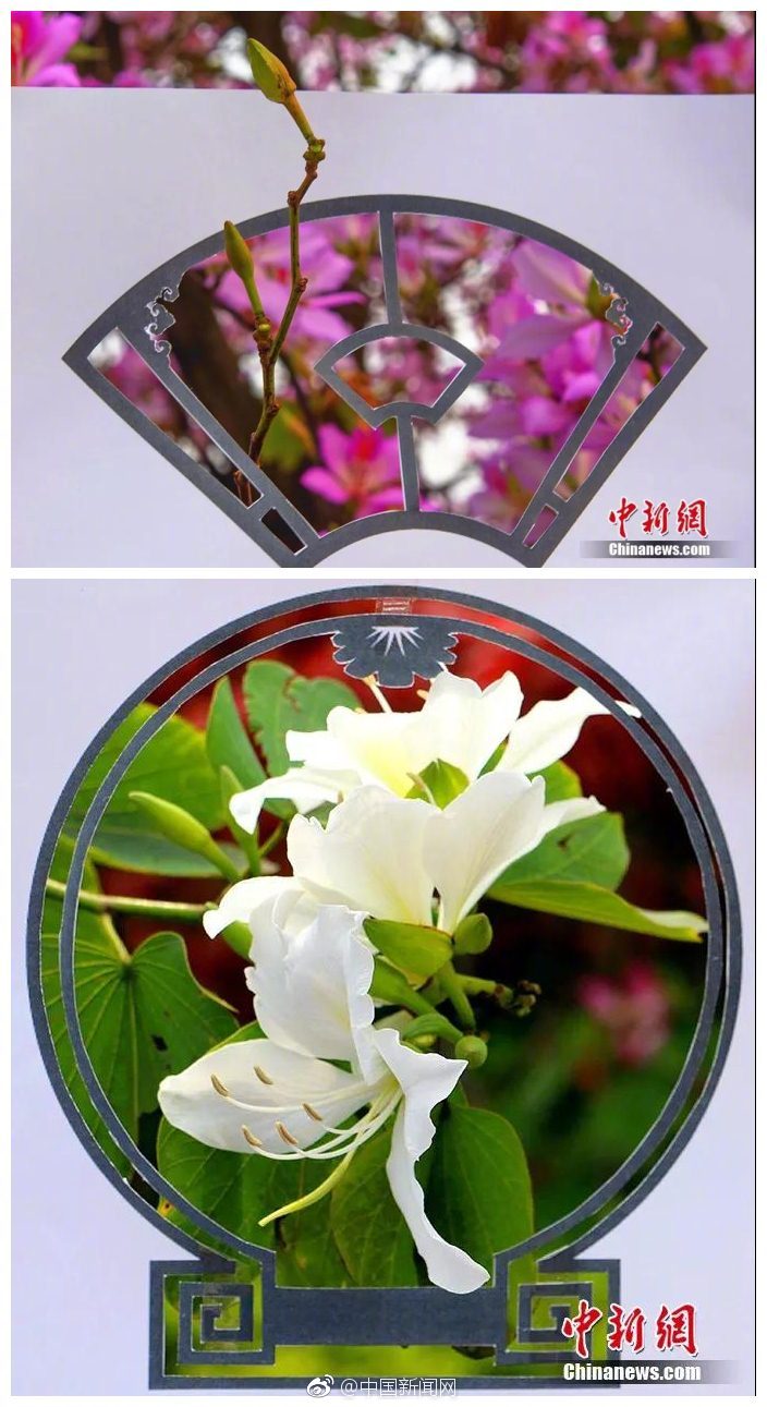 巜人妻公侵犯波多野结什么销售