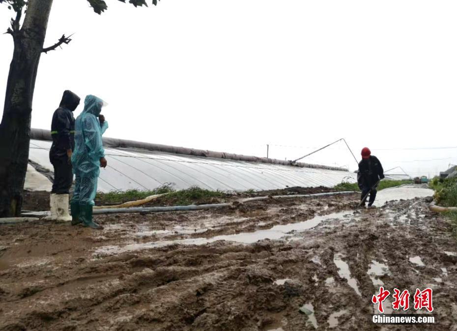 天空：紮哈收到拉齊奧等三隊的報價 球員與水晶宮的對話仍在繼續