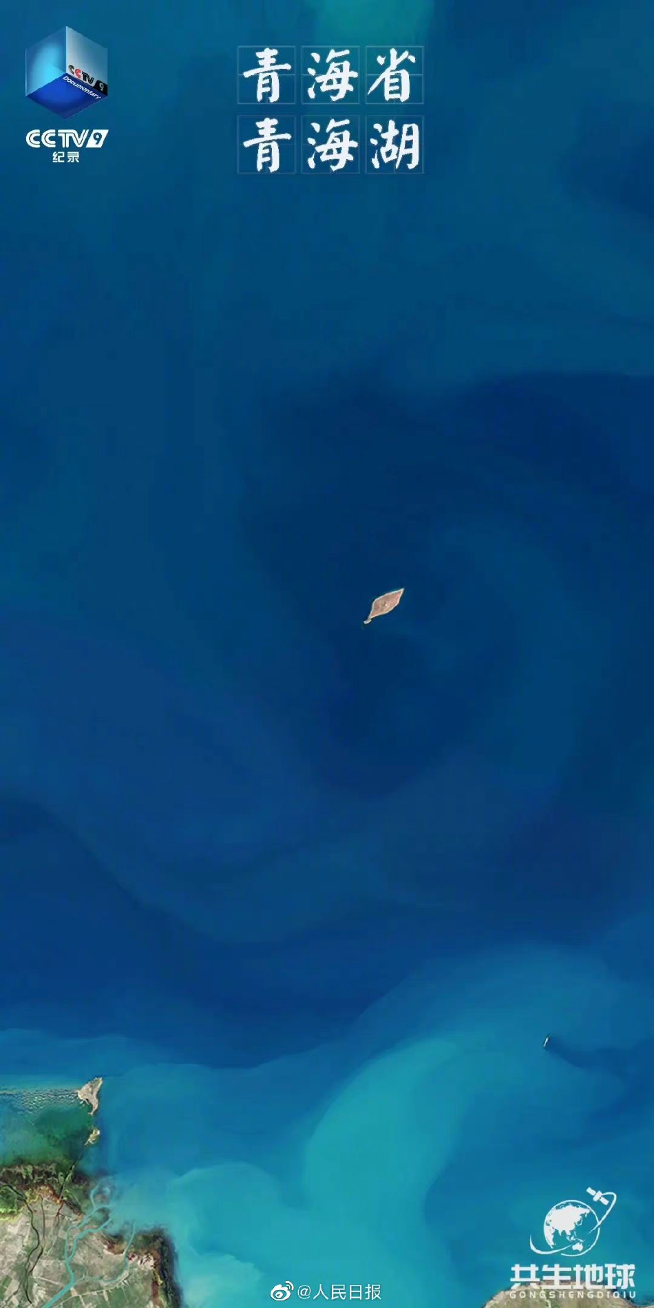 欧美激情视频Xxxxxxx