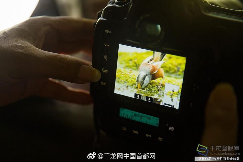 青草影视