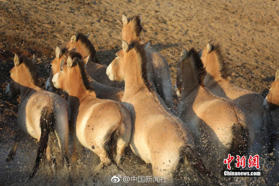 YUMMY美图教程之教你做美图杂志晒物篇