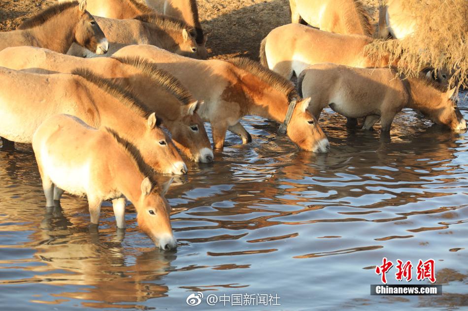 婷婷综合激情