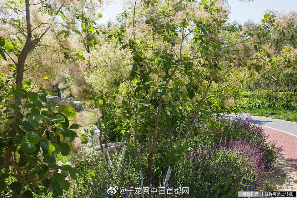 炕头淑芬撅起大白屁股