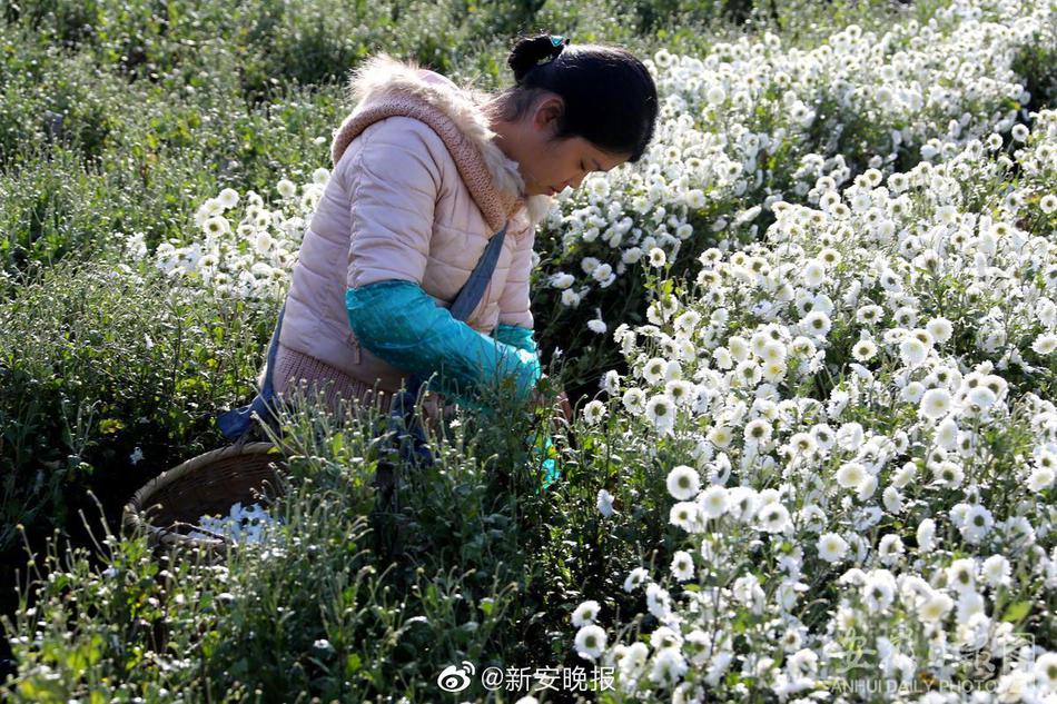 97超碰人人操