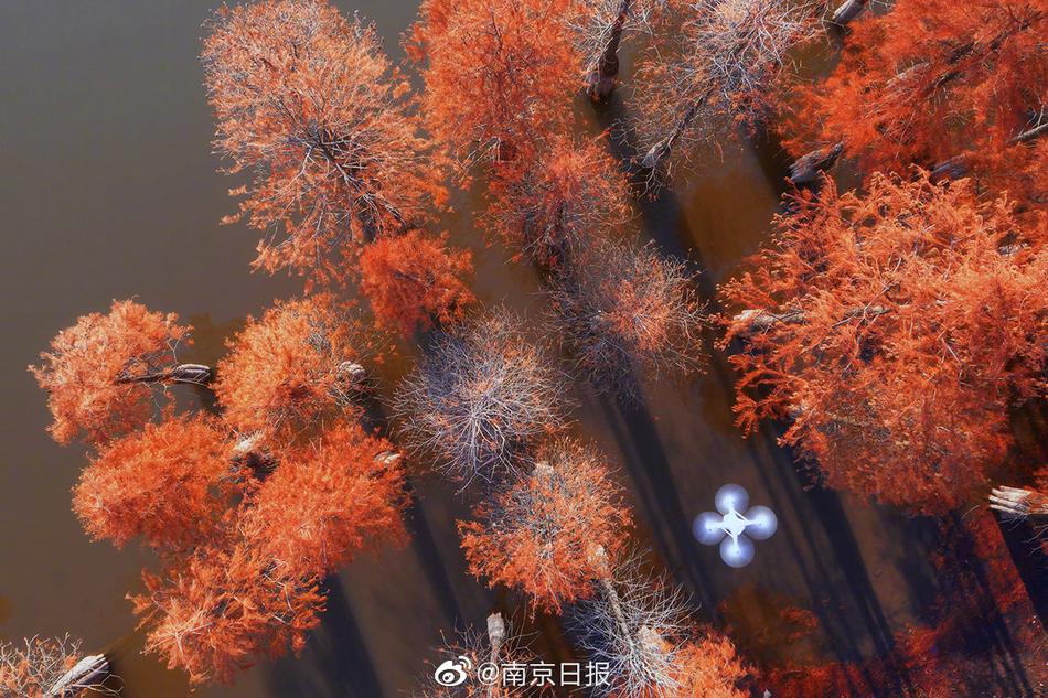 91蜜桃传媒精品久久久一区二区