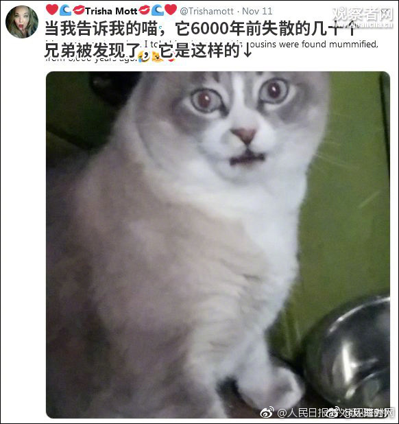 欧美黄色网站日别的