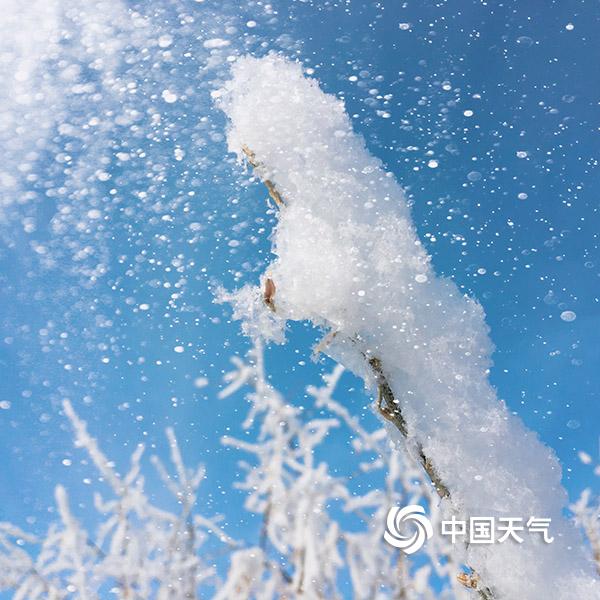 大白腚大白屁HDXⅩXX