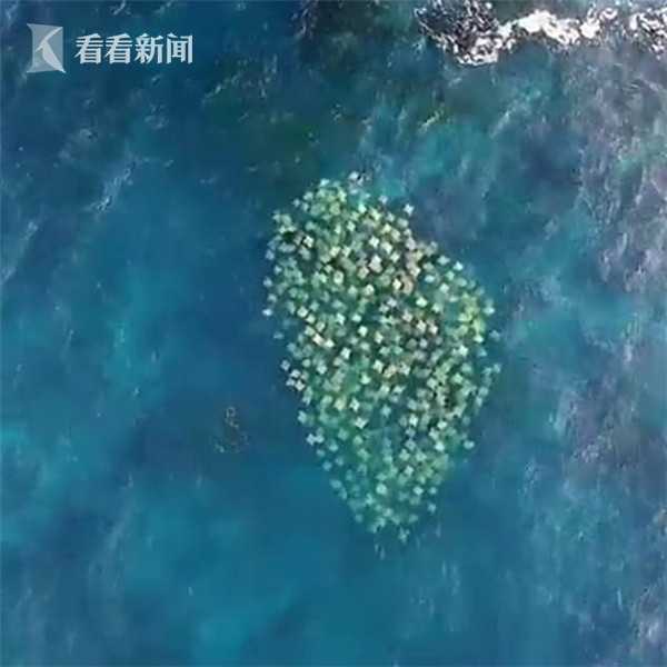 电影跟黄片