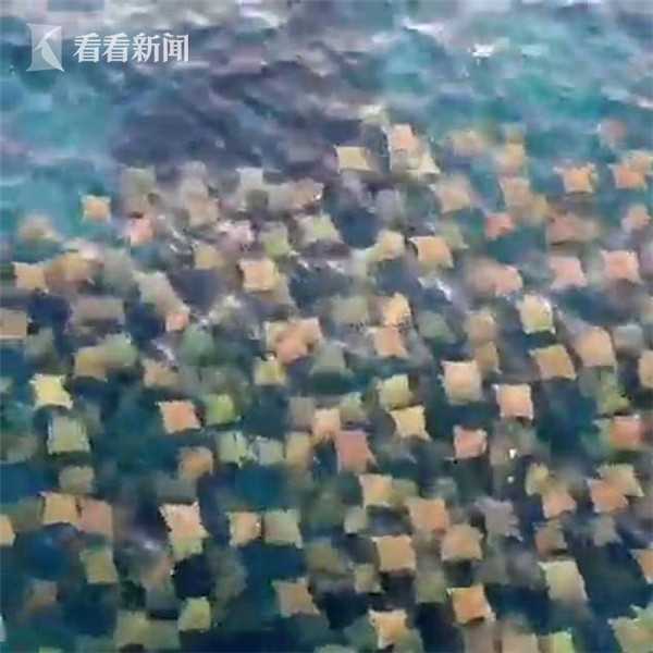 亚洲成人小说