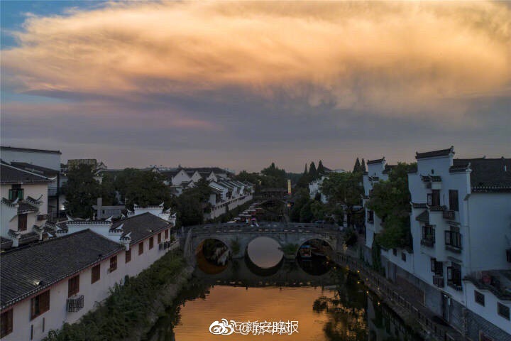 100%露粉头