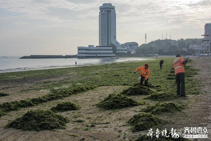 性欧美Fee