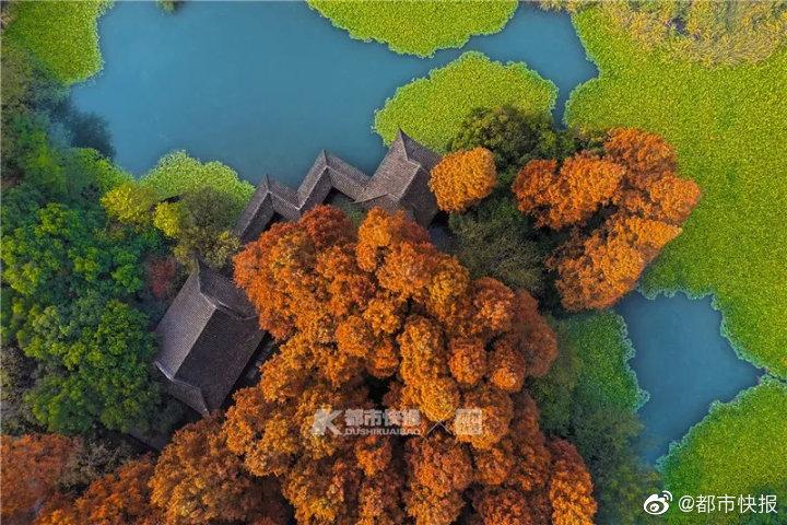 法国空姐2019满天星法版:星辉照耀