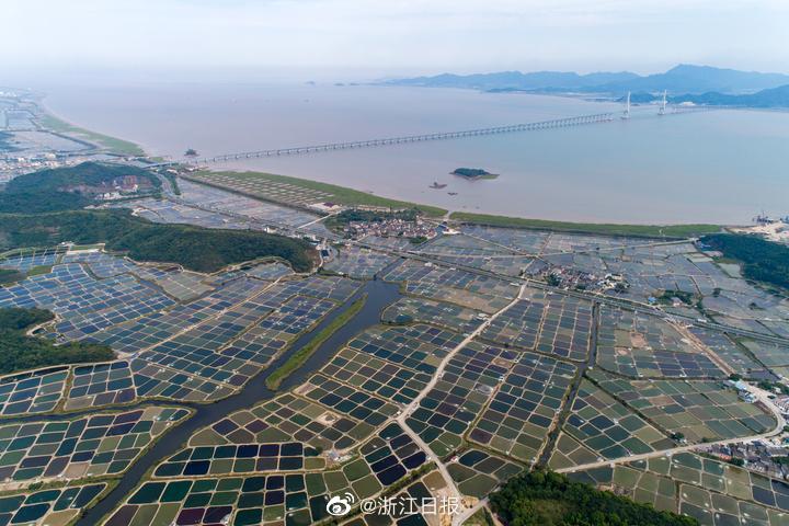毛片网