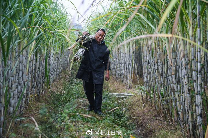 日韩欧美国产精品