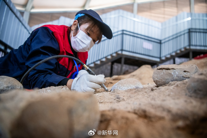免费 观看 色情