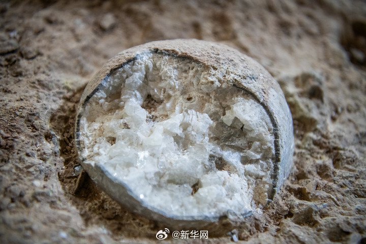 黄色三级片韩国三级片乱伦理片