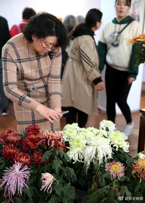 free性满是HID老太婆