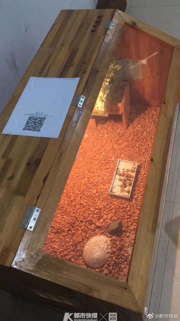 久草资源在线
