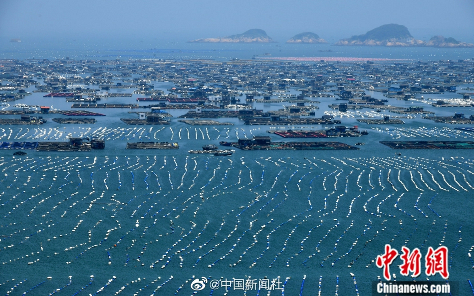 殴美一级