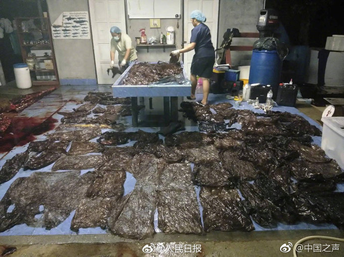 第三章我和岳卧室高潮视频