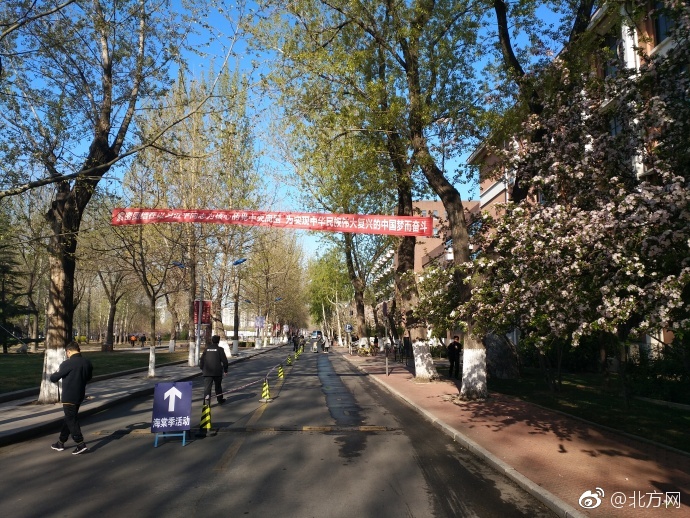 巴西美女与动交ZoZ0z