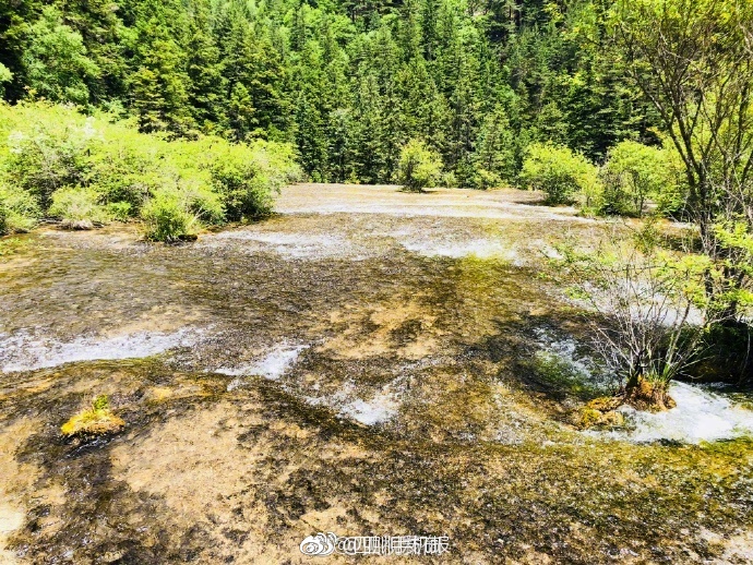 阴茎短小