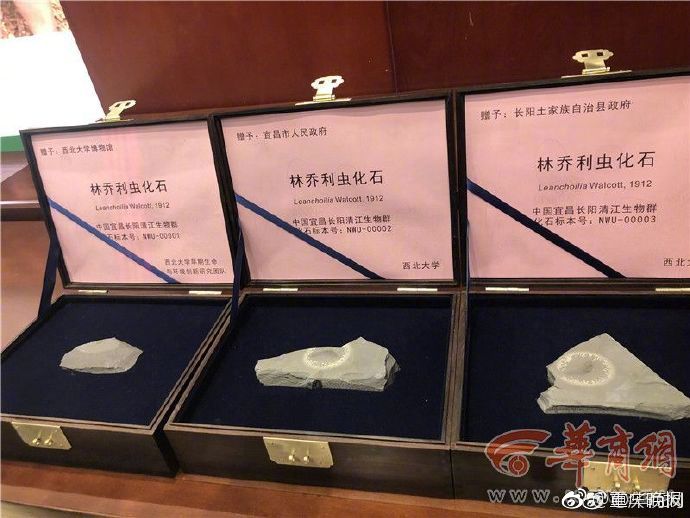 香港三级黄色电影