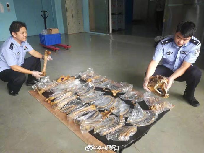 二级片黄色片三级片