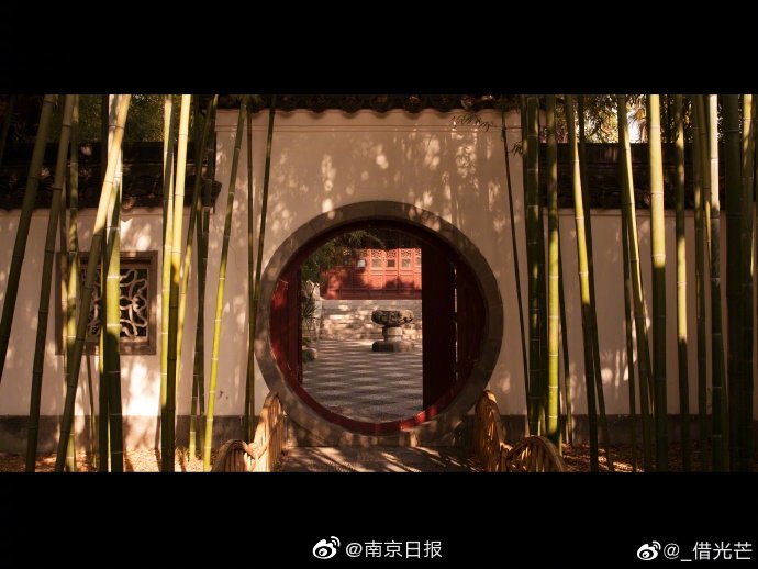 外国 成人 片