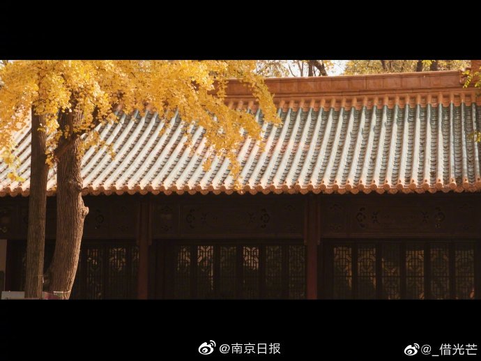 国产A级毛片久久久久久