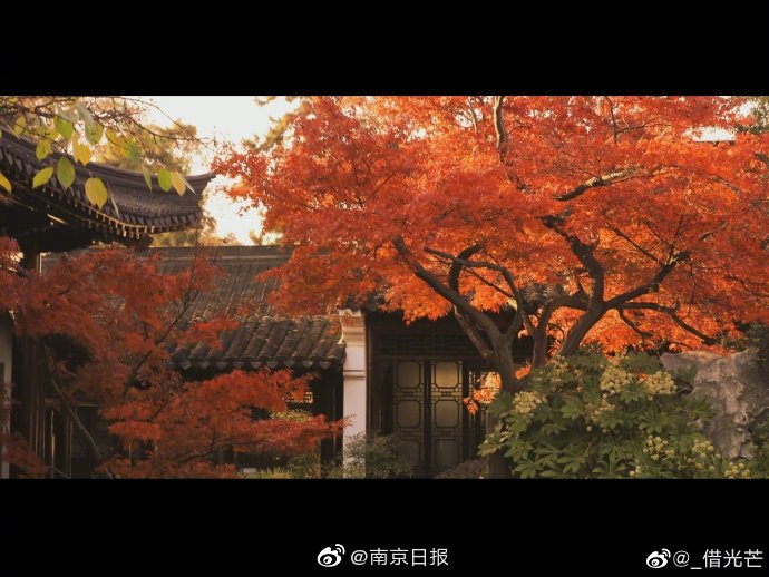 d.ypoevr最新版本更新内容