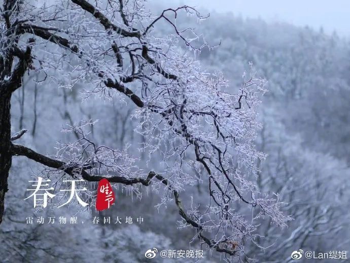 国产一级性爱