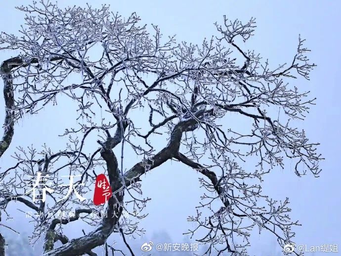 舔阴蒂公车