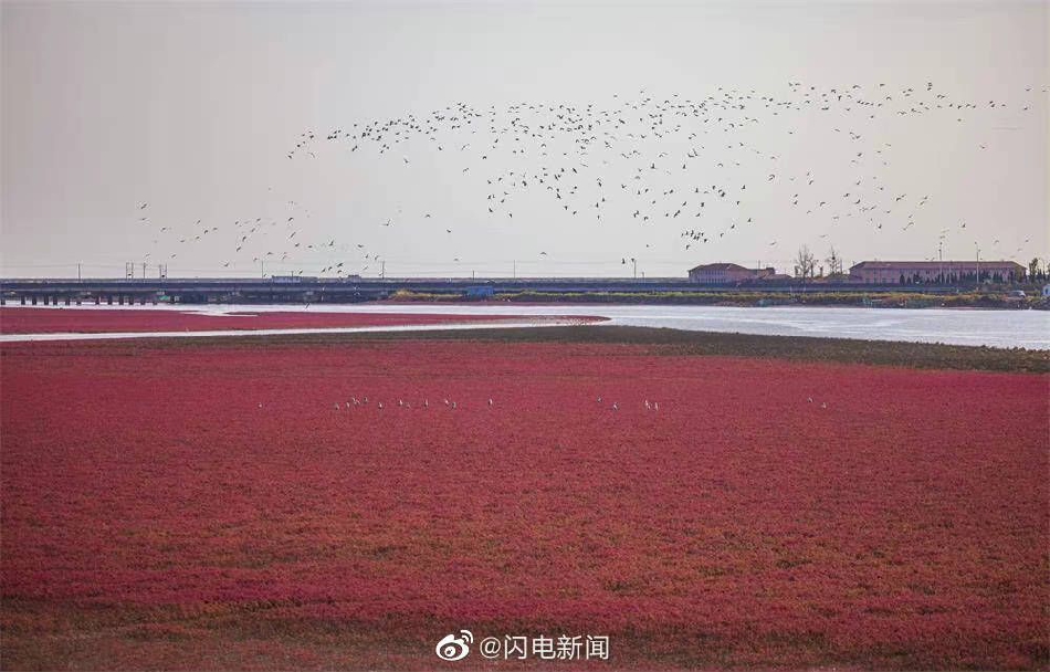 品产品久精国精产拍2023