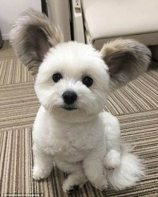 梦莹情乱被翁三人同床