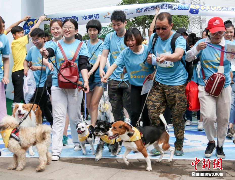黄色视频网站在线观看