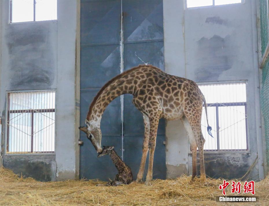 女班长脱小内内坐我腿上让我玩