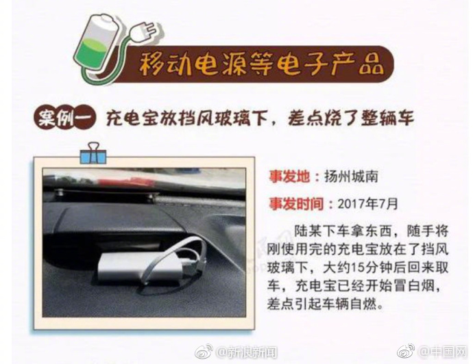 欧美人与动物性交精品