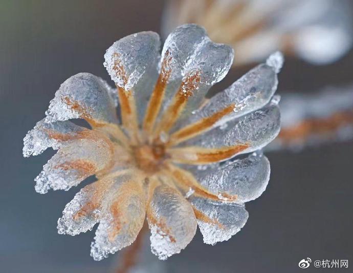 黄色在线免费小视频