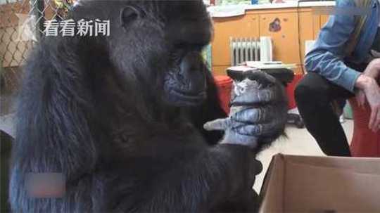 痴汉电车电影H一0