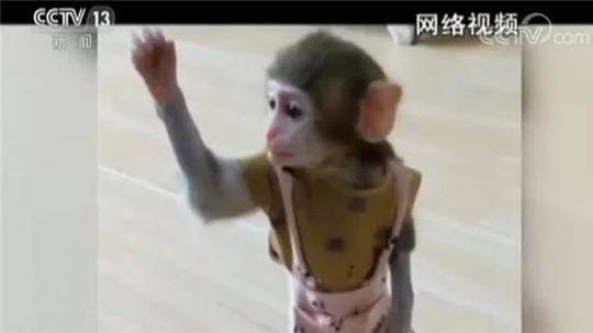 鸥美内射片