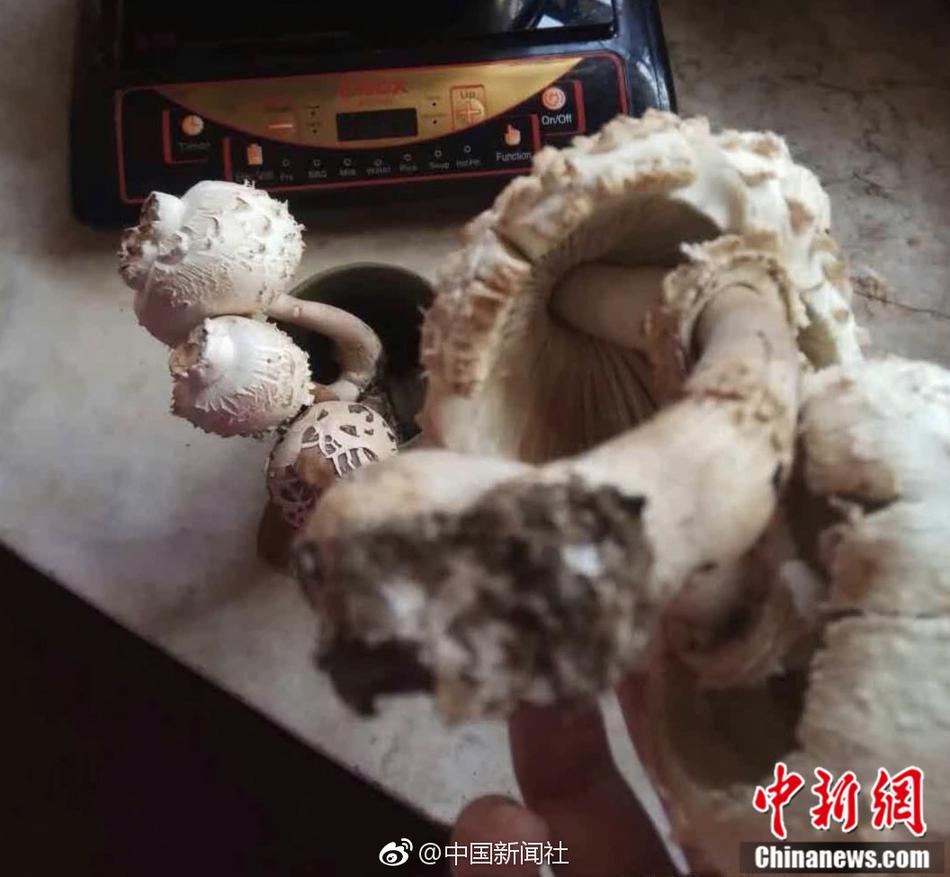黄色软件3.0
